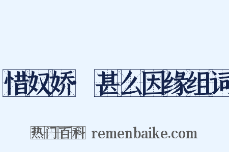 惜奴娇·甚么因缘组词是什么意思的图片